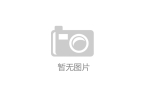 2024-2029中國自行車懸架前叉市場